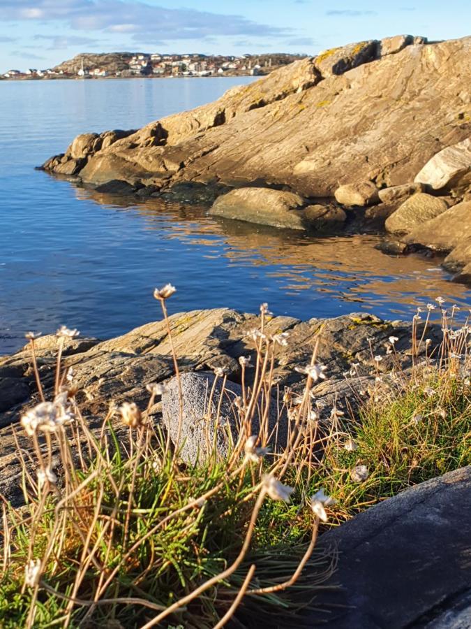 Skaergardsidyll Pa Bjoerkoe Med Gangavstand Till Havet Skarvik Luaran gambar